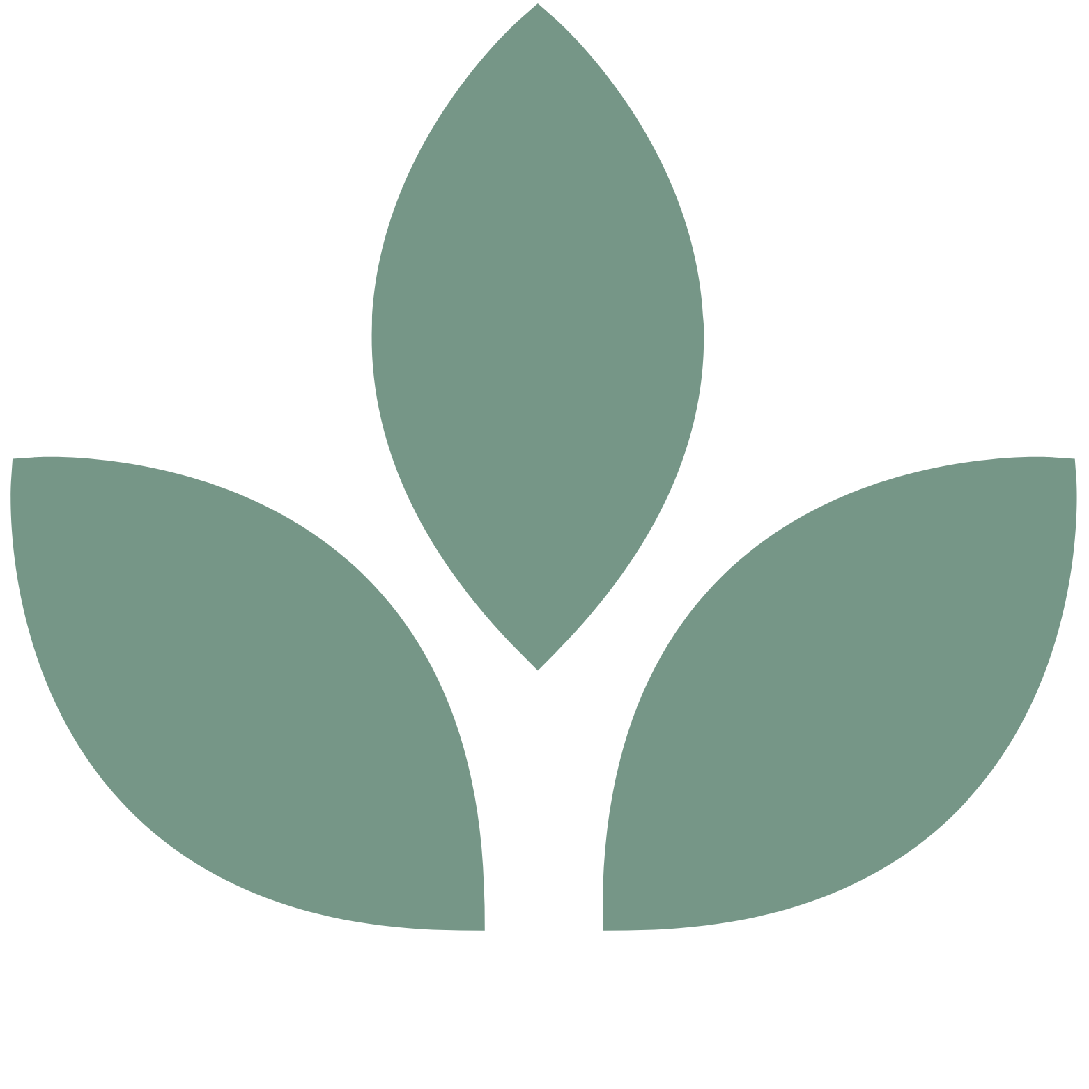 Mental Wellness and Me